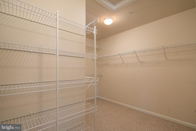 Building Photo - 523 Triadelphia Way