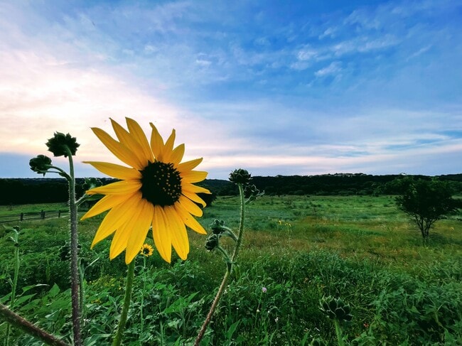 Building Photo - 104 S Tumbleweed Trail