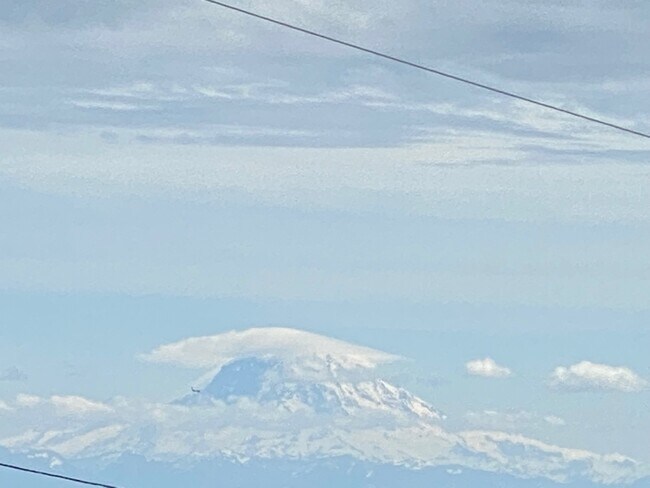 Building Photo - 3717 Belvidere Ave SW