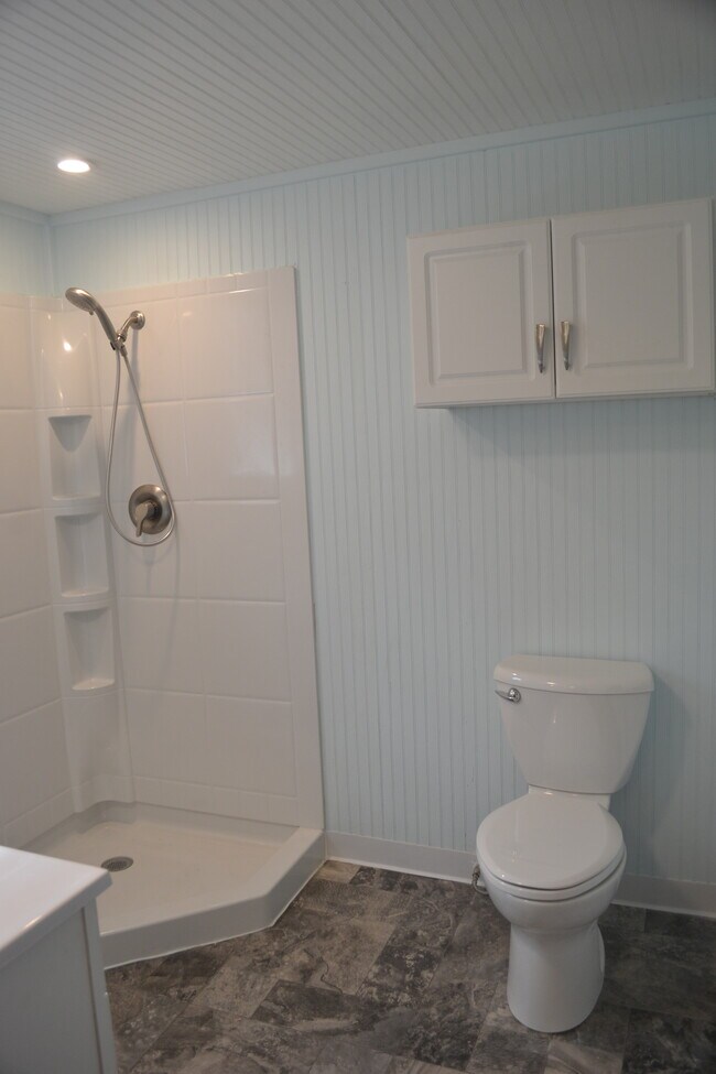 downstairs bathroom - 222 W Case St
