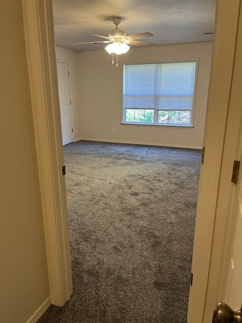 Building Photo - 144 Bald Eagle Blvd