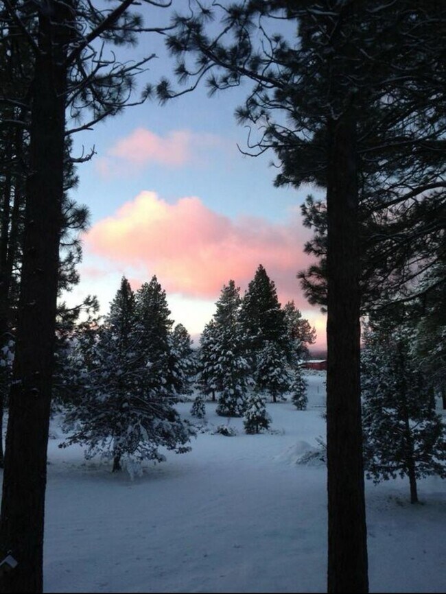 Building Photo - Fantastic 3-Bdr Home with Private Airport Access!