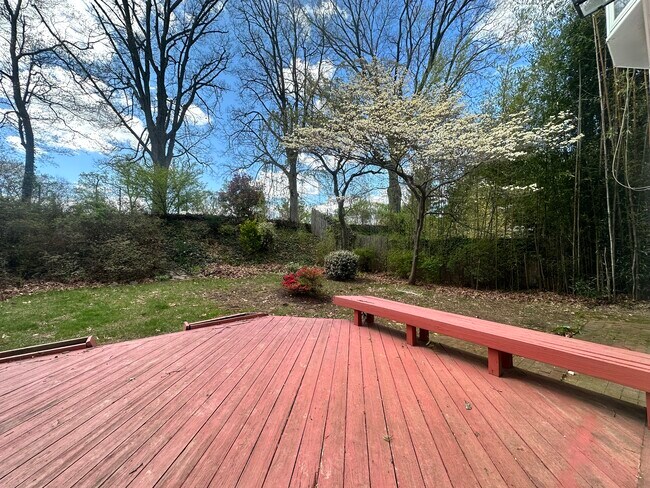 Beautiful flowering trees - 9308 Cedar Ln