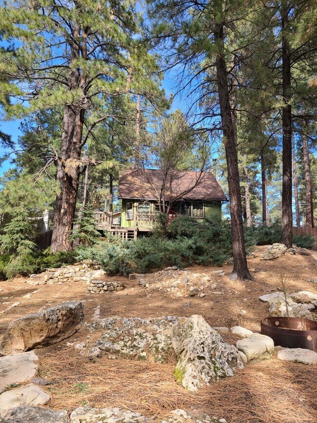 Building Photo - Updated Turn key Cabin In Mountainaire- CO...