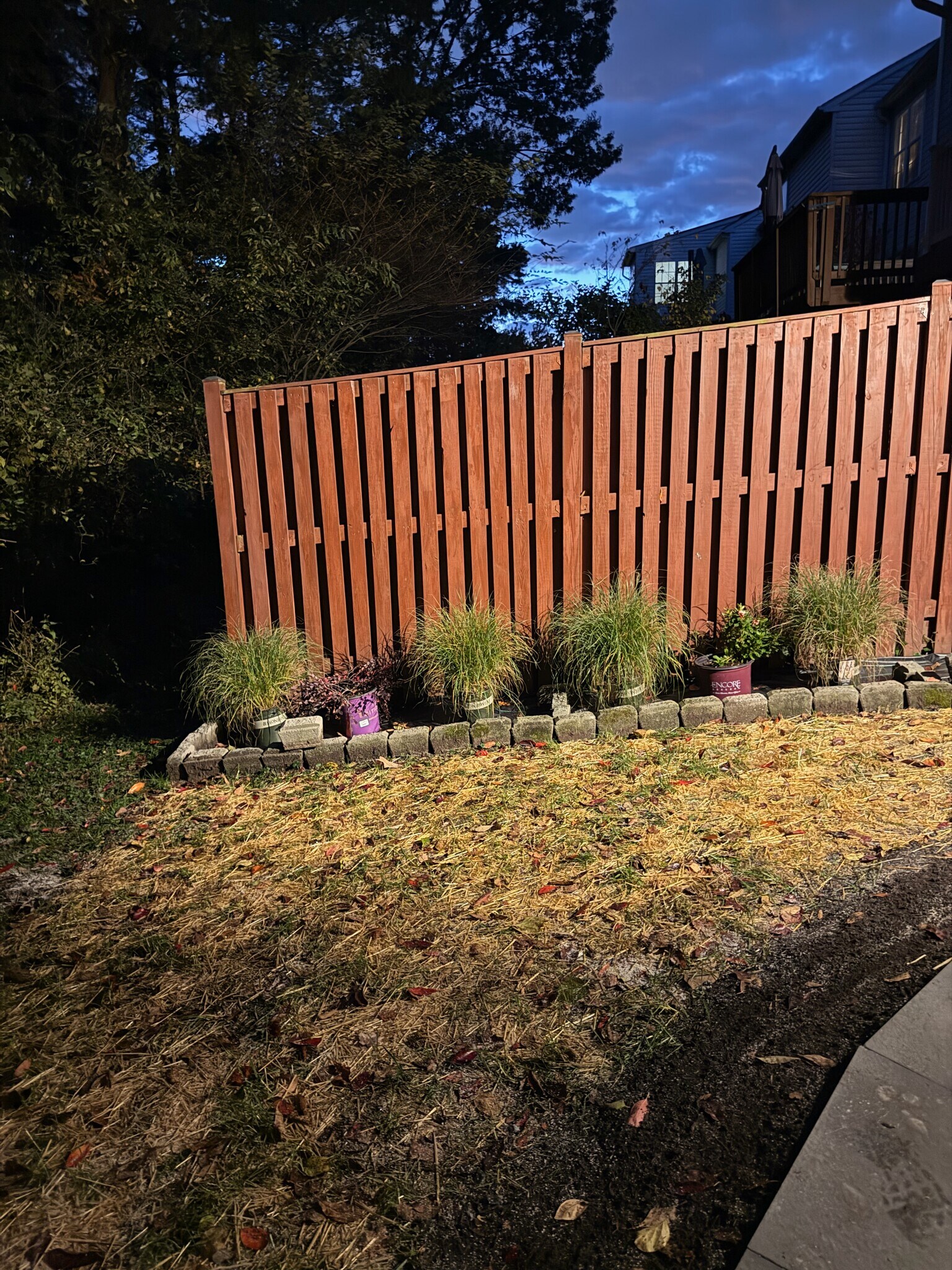 Quiet Back Garden with Total Privacy Skip crowded apartment hallways. - 246 Arcadia Shores Cir