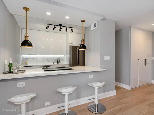 Building Photo - 1355 N Sandburg Terrace