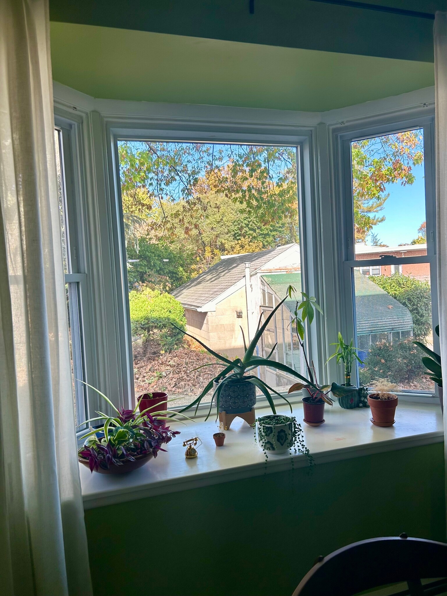 Building Photo - 133 Elm Ave