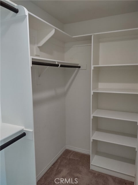 Building Photo - 7921 Swiftwater Ct