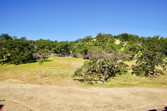 Building Photo - Brand New Townhome, Luxury Meets Convenience!