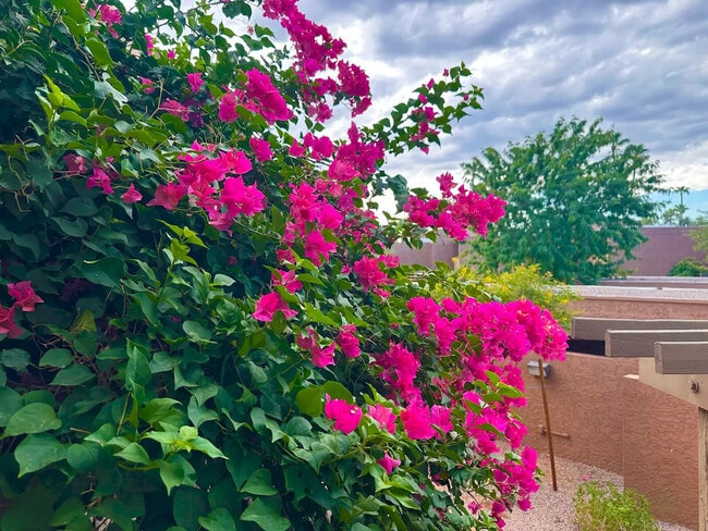 Building Photo - 7401 N Scottsdale Rd