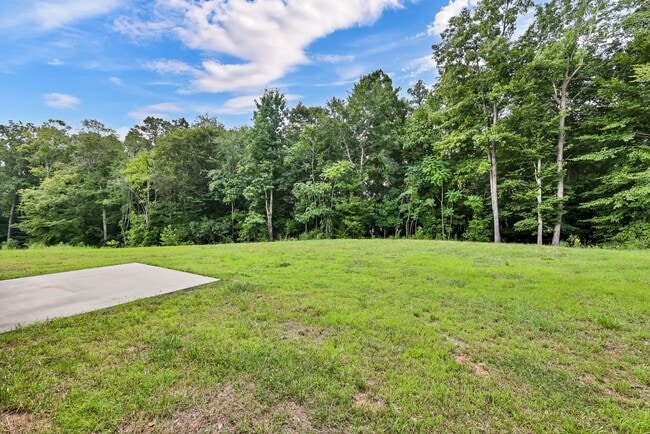 Building Photo - 1196 Cottonwood Dr