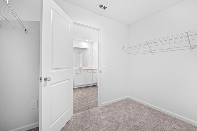 Building Photo - BRAND NEW CONSTRUCTION - 3 Bed 2 bath Sing...