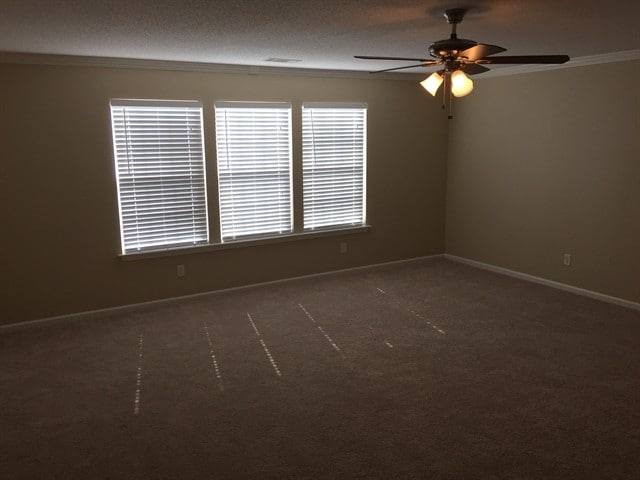 Building Photo - 509 Diamond Cut