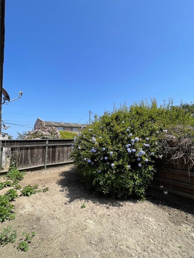 Building Photo - Large Brand New One Bedroom Apartment!