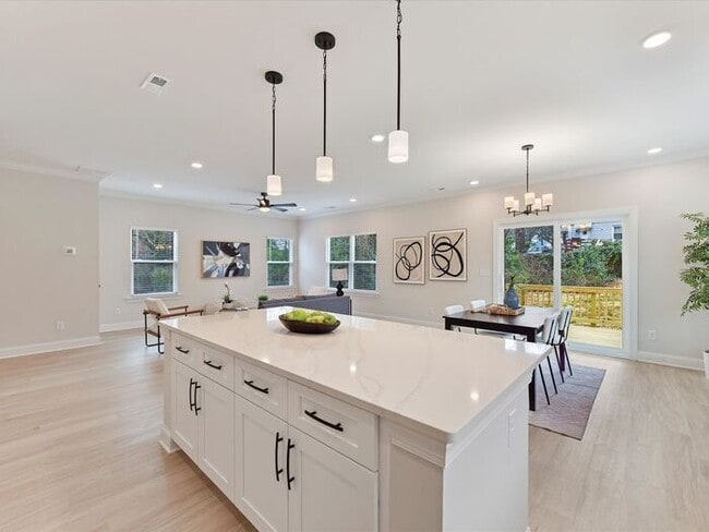 Building Photo - Brand New 4BD/2.5BA Home in Revolution Park!