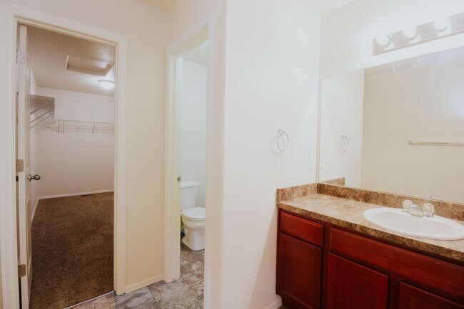 Building Photo - 2138 Phillips Alley