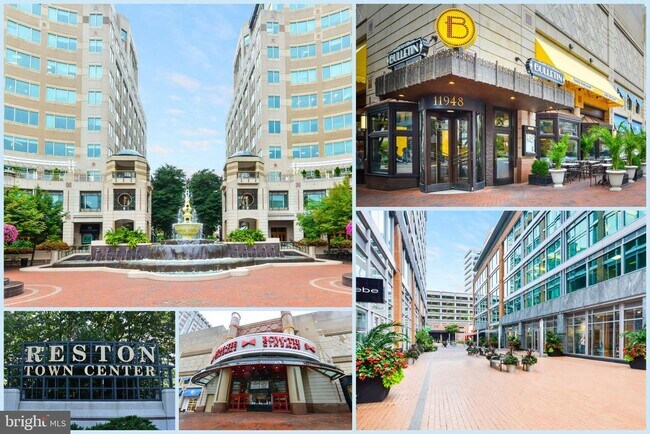 Building Photo - 11922 Holly Spring Dr