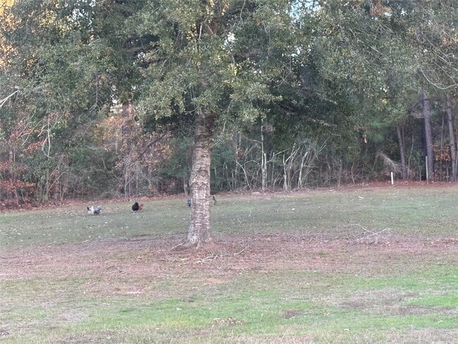 Building Photo - 3074 S Farm to Market 1486