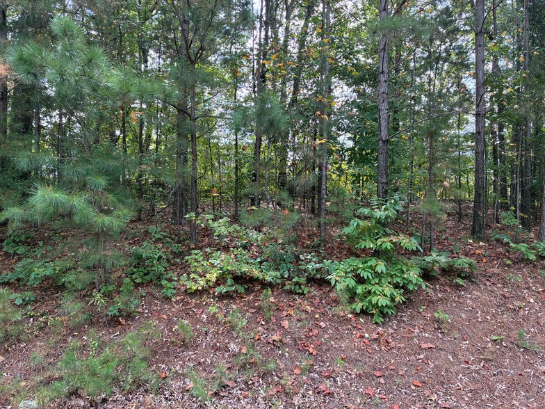 Building Photo - Room in Townhome on Chatham Ridge Dr