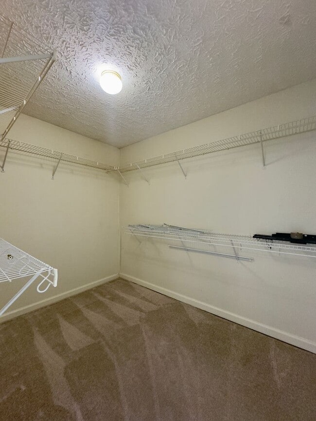 Building Photo - 537 MacIntosh Cir
