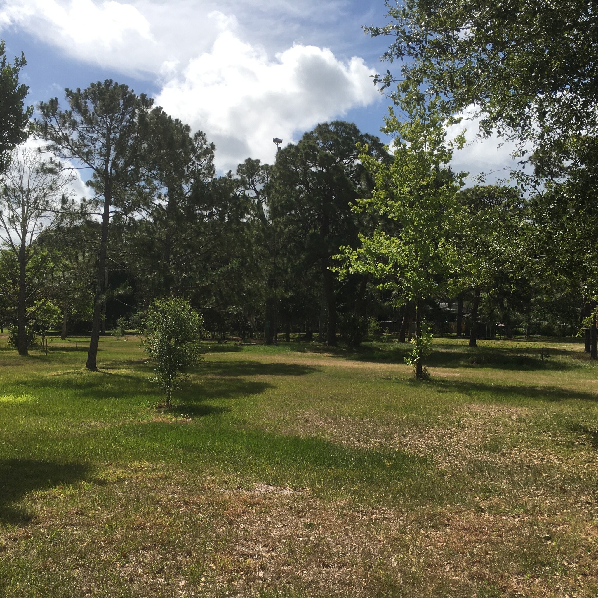 Park beyond your yard - 658 64th Ave S