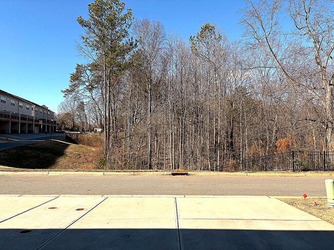 Building Photo - 3BR Townhome • End-Unit • New Build • 2-Car Garage