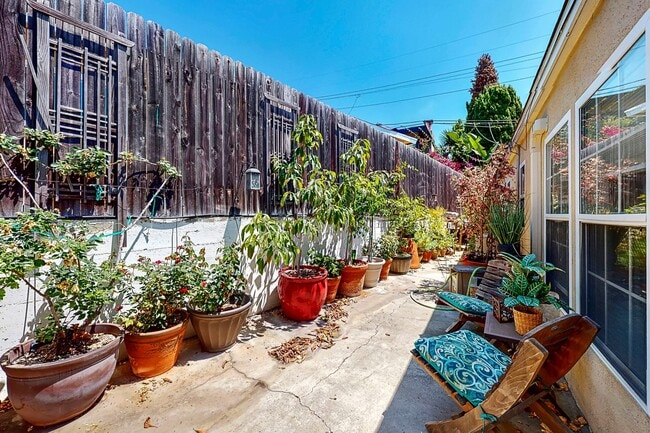 Building Photo - San Clemente Oasis