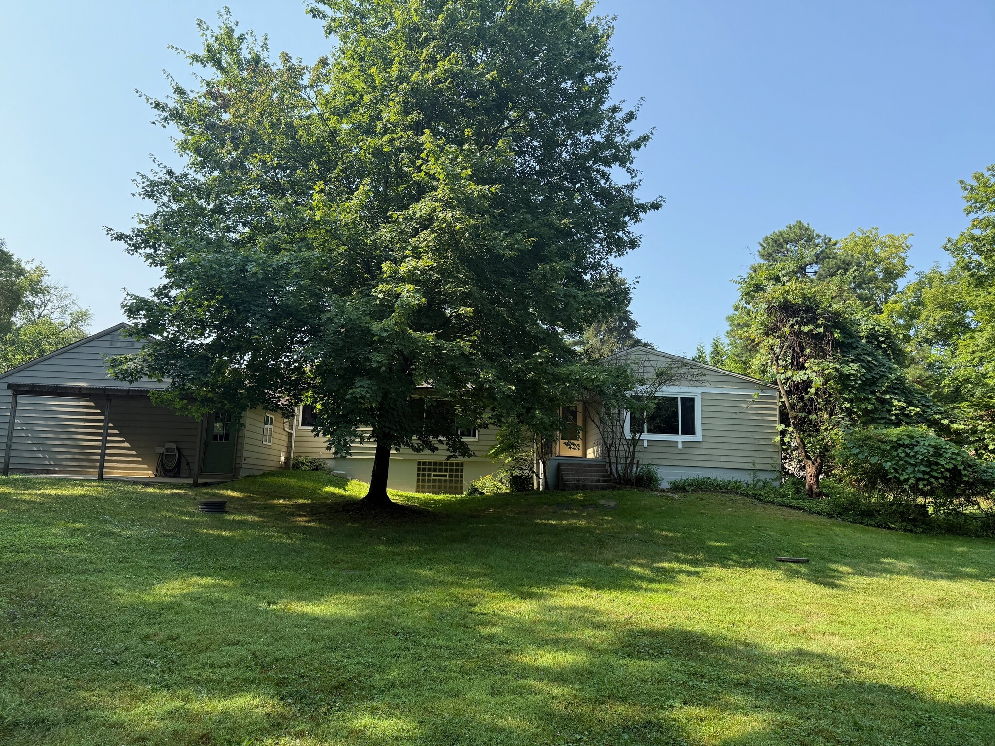 back yard - 511 E Royalton Rd