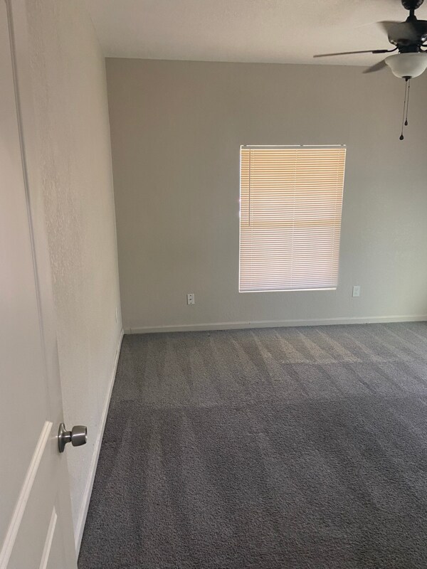 Building Photo - 1331 Elmwood Ave