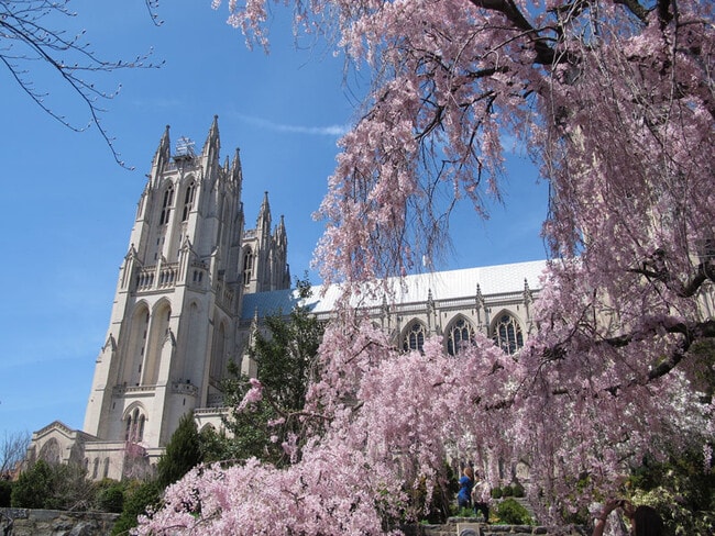 20 MIN WALK - 2228 40th St NW