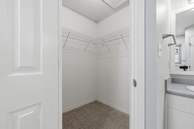 Building Photo - 1243 Jefferyscot Dr