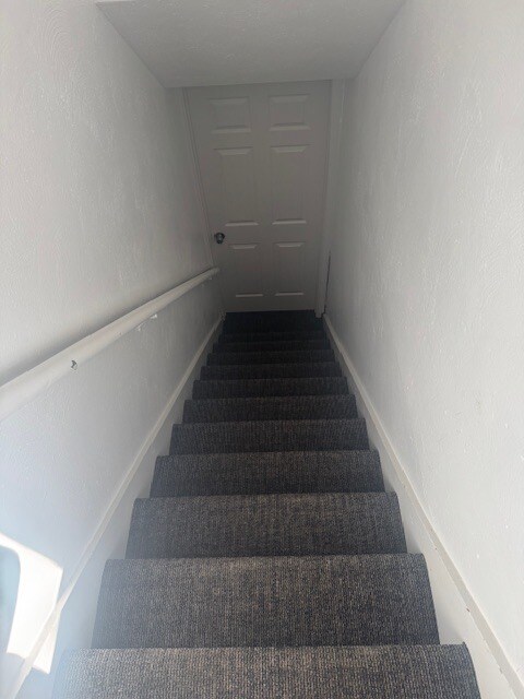 Stairs to Basement - 3501 Allison St