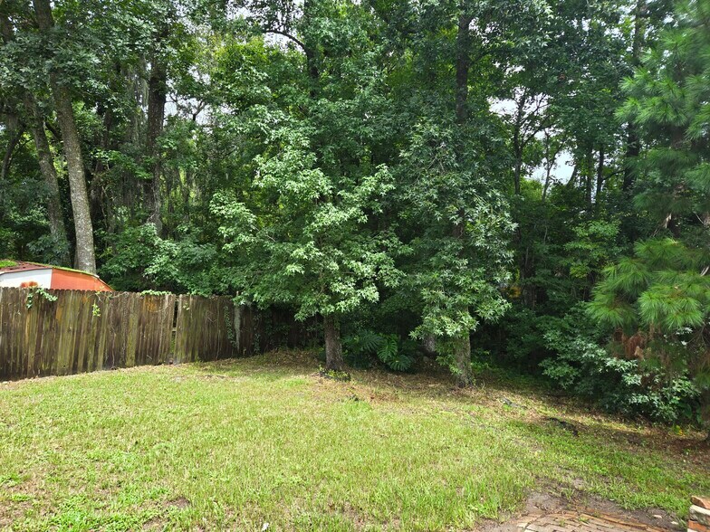 Backyard - 573 Serenade Cir E