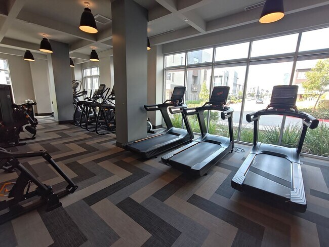 Building Photo - Luxury One-Bedroom Condo for Lease