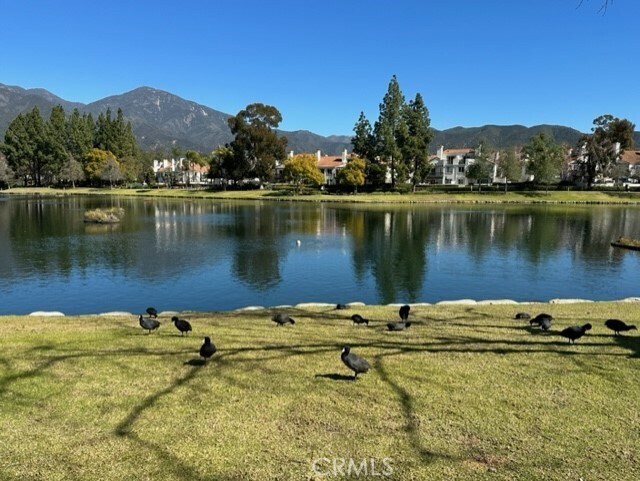 Building Photo - 57 Brisa Del Lago