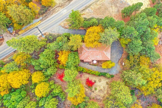 Building Photo - Foresthill