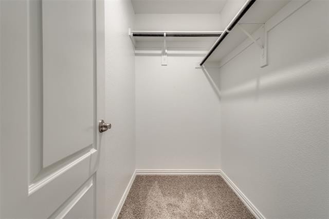 Building Photo - 3508 Cricket Dr