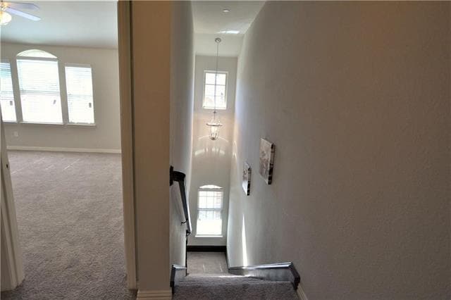 Building Photo - 2547 Adam Ln