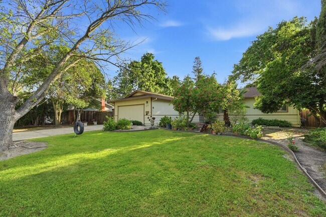 Building Photo - Spacious 4-bedroom 2-Bath in Desirable Area in Walnut Creek!