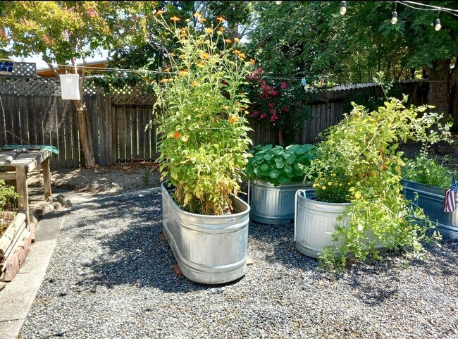 Building Photo - Lovely one level home in Northwest Santa R...