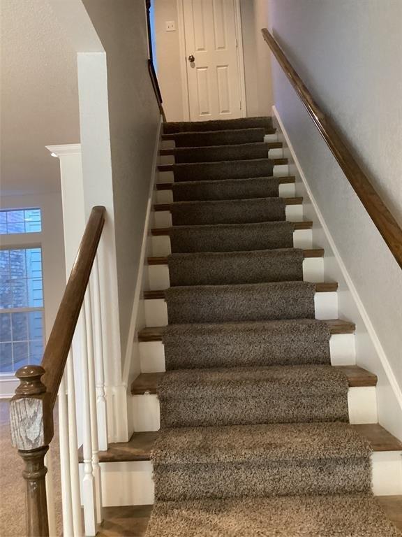 Building Photo - 1206 Wooded Trail