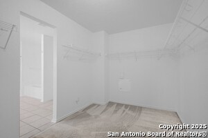 Building Photo - 117 Gatewood Mist