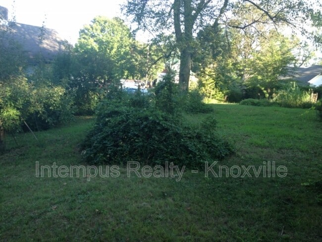 Building Photo - 501 Chickamauga Ave