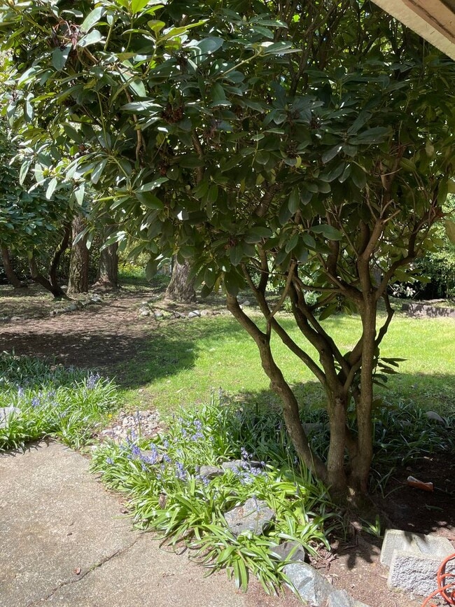 Building Photo - Nice Home with Large Backyard in Desirable...