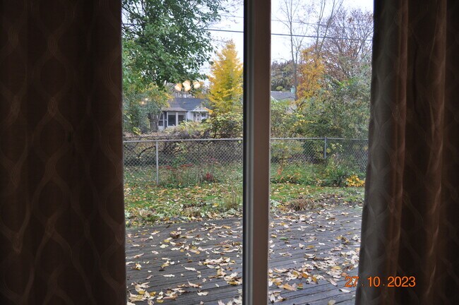 Backyard View - 206 Odoherty Rd