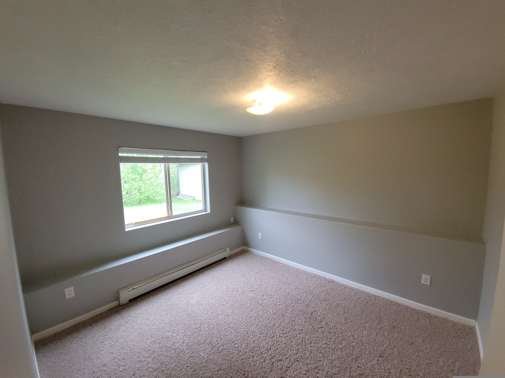 Downstairs Bedroom 2 - 5259 Falcon Dr