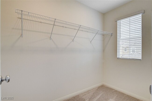 Building Photo - 2620 Ercolano St