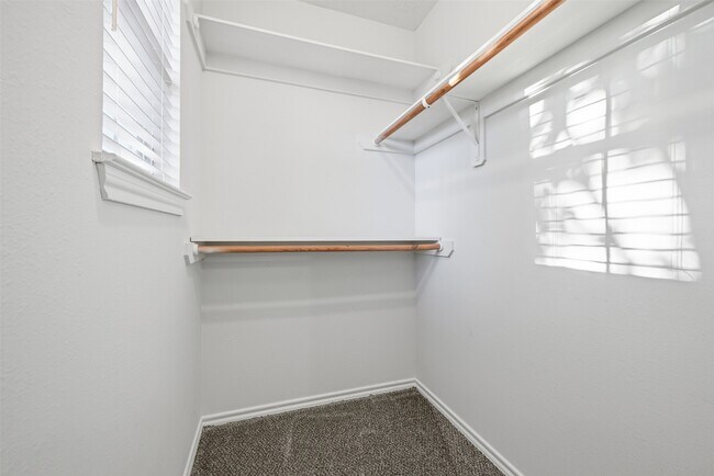 Building Photo - 6058 Shelbourne Park Ln