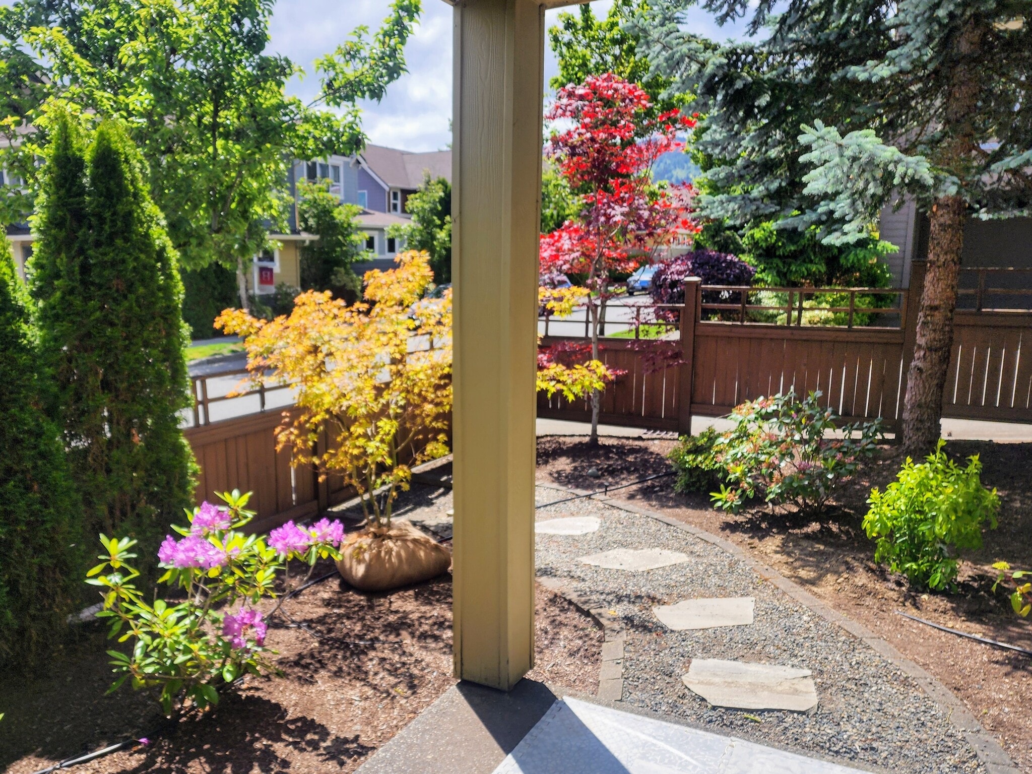 Yard - 562 Alpine Ridge Pl NW
