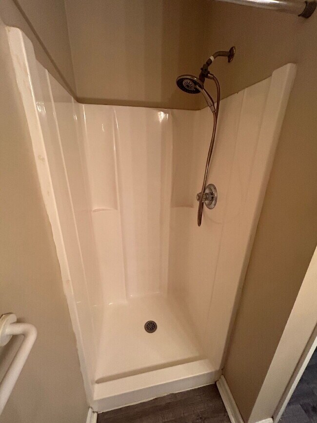 Building Photo - 2 bed/2 bath with new paint and flooring! Pets are welcome! New Back Porch!